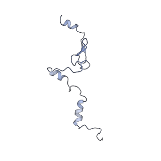 12632_7nwh_j_v1-2
Mammalian pre-termination 80S ribosome with eRF1 and eRF3 bound by Blasticidin S.