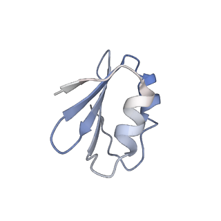 12632_7nwh_k_v1-2
Mammalian pre-termination 80S ribosome with eRF1 and eRF3 bound by Blasticidin S.