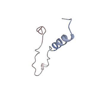 12632_7nwh_l_v1-2
Mammalian pre-termination 80S ribosome with eRF1 and eRF3 bound by Blasticidin S.