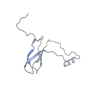 12632_7nwh_o_v1-2
Mammalian pre-termination 80S ribosome with eRF1 and eRF3 bound by Blasticidin S.