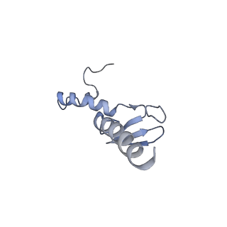 12632_7nwh_p_v1-2
Mammalian pre-termination 80S ribosome with eRF1 and eRF3 bound by Blasticidin S.