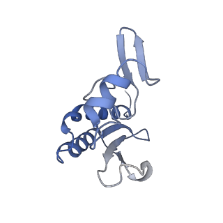 12632_7nwh_r_v1-2
Mammalian pre-termination 80S ribosome with eRF1 and eRF3 bound by Blasticidin S.