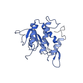 12633_7nwi_AA_v1-2
Mammalian pre-termination 80S ribosome with Empty-A site bound by Blasticidin S