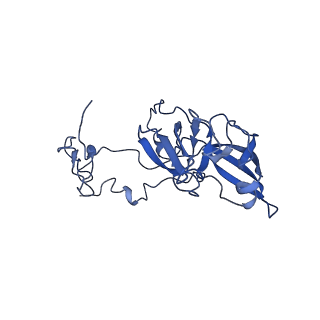 12633_7nwi_A_v1-2
Mammalian pre-termination 80S ribosome with Empty-A site bound by Blasticidin S