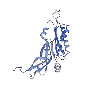 12633_7nwi_BB_v1-2
Mammalian pre-termination 80S ribosome with Empty-A site bound by Blasticidin S
