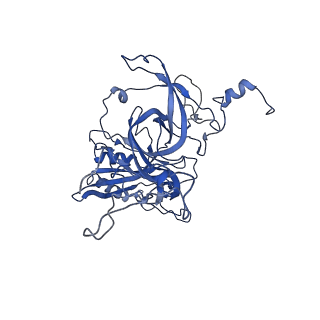 12633_7nwi_B_v1-2
Mammalian pre-termination 80S ribosome with Empty-A site bound by Blasticidin S