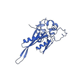 12633_7nwi_CC_v1-2
Mammalian pre-termination 80S ribosome with Empty-A site bound by Blasticidin S