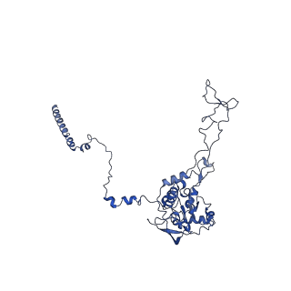 12633_7nwi_C_v1-2
Mammalian pre-termination 80S ribosome with Empty-A site bound by Blasticidin S