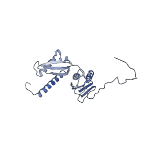 12633_7nwi_DD_v1-2
Mammalian pre-termination 80S ribosome with Empty-A site bound by Blasticidin S