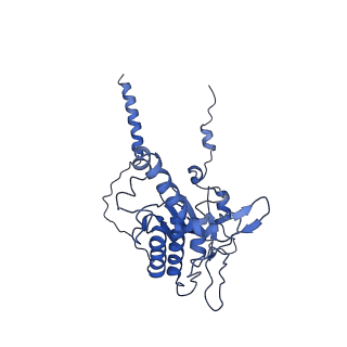 12633_7nwi_D_v1-2
Mammalian pre-termination 80S ribosome with Empty-A site bound by Blasticidin S