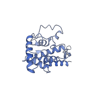 12633_7nwi_FF_v1-2
Mammalian pre-termination 80S ribosome with Empty-A site bound by Blasticidin S