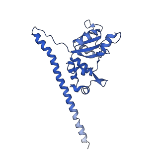 12633_7nwi_F_v1-2
Mammalian pre-termination 80S ribosome with Empty-A site bound by Blasticidin S