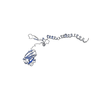 12633_7nwi_GG_v1-2
Mammalian pre-termination 80S ribosome with Empty-A site bound by Blasticidin S