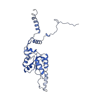 12633_7nwi_G_v1-2
Mammalian pre-termination 80S ribosome with Empty-A site bound by Blasticidin S