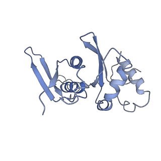12633_7nwi_HH_v1-2
Mammalian pre-termination 80S ribosome with Empty-A site bound by Blasticidin S