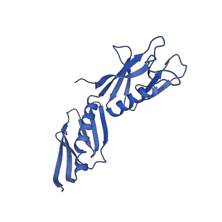 12633_7nwi_H_v1-2
Mammalian pre-termination 80S ribosome with Empty-A site bound by Blasticidin S