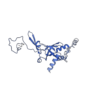 12633_7nwi_II_v1-2
Mammalian pre-termination 80S ribosome with Empty-A site bound by Blasticidin S