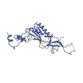 12633_7nwi_I_v1-2
Mammalian pre-termination 80S ribosome with Empty-A site bound by Blasticidin S