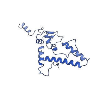 12633_7nwi_JJ_v1-2
Mammalian pre-termination 80S ribosome with Empty-A site bound by Blasticidin S
