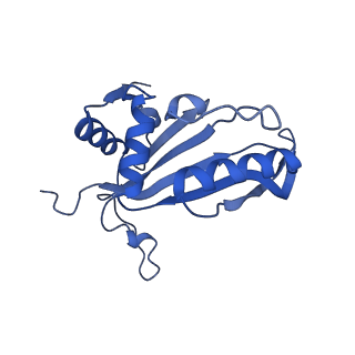 12633_7nwi_J_v1-2
Mammalian pre-termination 80S ribosome with Empty-A site bound by Blasticidin S