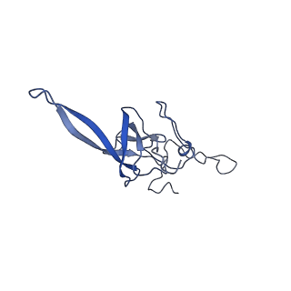 12633_7nwi_LL_v1-2
Mammalian pre-termination 80S ribosome with Empty-A site bound by Blasticidin S