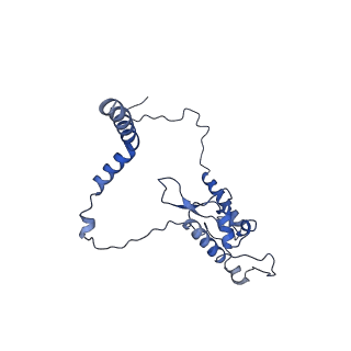 12633_7nwi_L_v1-2
Mammalian pre-termination 80S ribosome with Empty-A site bound by Blasticidin S