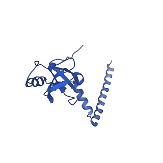 12633_7nwi_M_v1-2
Mammalian pre-termination 80S ribosome with Empty-A site bound by Blasticidin S