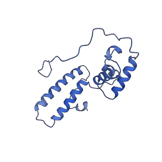 12633_7nwi_NN_v1-2
Mammalian pre-termination 80S ribosome with Empty-A site bound by Blasticidin S