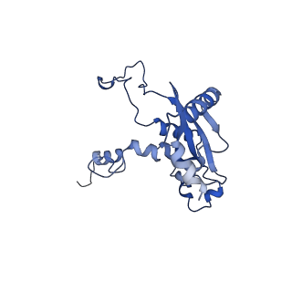 12633_7nwi_N_v1-2
Mammalian pre-termination 80S ribosome with Empty-A site bound by Blasticidin S