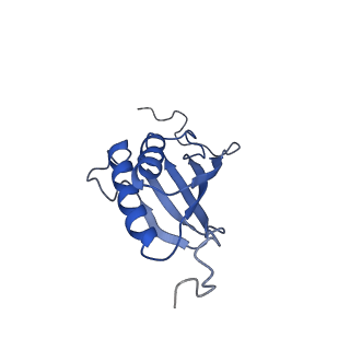 12633_7nwi_OO_v1-2
Mammalian pre-termination 80S ribosome with Empty-A site bound by Blasticidin S