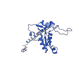 12633_7nwi_O_v1-2
Mammalian pre-termination 80S ribosome with Empty-A site bound by Blasticidin S