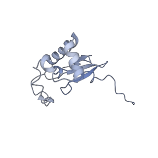 12633_7nwi_PP_v1-2
Mammalian pre-termination 80S ribosome with Empty-A site bound by Blasticidin S