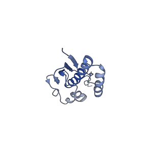 12633_7nwi_QQ_v1-2
Mammalian pre-termination 80S ribosome with Empty-A site bound by Blasticidin S
