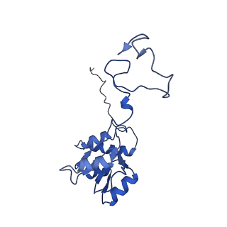 12633_7nwi_Q_v1-2
Mammalian pre-termination 80S ribosome with Empty-A site bound by Blasticidin S