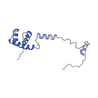 12633_7nwi_RR_v1-2
Mammalian pre-termination 80S ribosome with Empty-A site bound by Blasticidin S