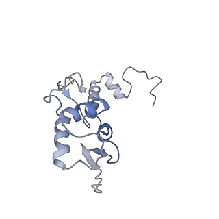 12633_7nwi_SS_v1-2
Mammalian pre-termination 80S ribosome with Empty-A site bound by Blasticidin S