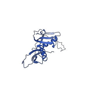 12633_7nwi_S_v1-2
Mammalian pre-termination 80S ribosome with Empty-A site bound by Blasticidin S