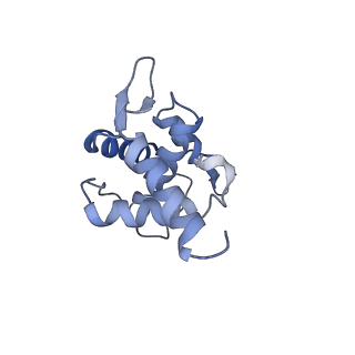 12633_7nwi_TT_v1-2
Mammalian pre-termination 80S ribosome with Empty-A site bound by Blasticidin S