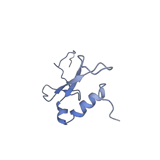 12633_7nwi_VV_v1-2
Mammalian pre-termination 80S ribosome with Empty-A site bound by Blasticidin S