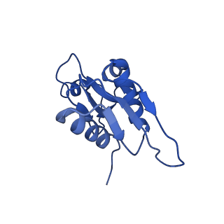 12633_7nwi_WW_v1-2
Mammalian pre-termination 80S ribosome with Empty-A site bound by Blasticidin S