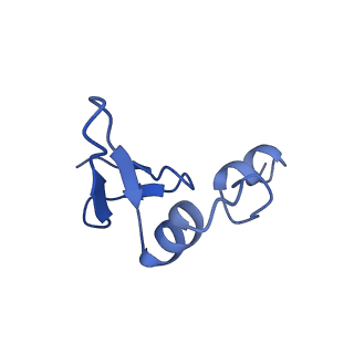 12633_7nwi_W_v1-2
Mammalian pre-termination 80S ribosome with Empty-A site bound by Blasticidin S
