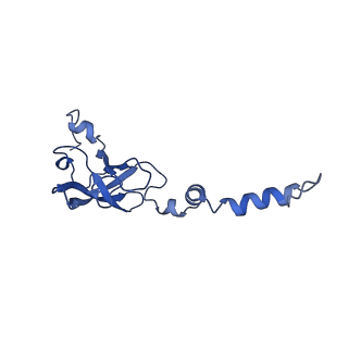 12633_7nwi_XX_v1-2
Mammalian pre-termination 80S ribosome with Empty-A site bound by Blasticidin S