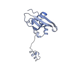 12633_7nwi_YY_v1-2
Mammalian pre-termination 80S ribosome with Empty-A site bound by Blasticidin S