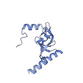 12633_7nwi_Y_v1-2
Mammalian pre-termination 80S ribosome with Empty-A site bound by Blasticidin S