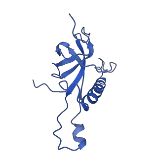 12633_7nwi_Z_v1-2
Mammalian pre-termination 80S ribosome with Empty-A site bound by Blasticidin S