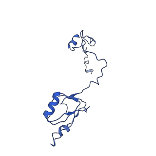12633_7nwi_a_v1-2
Mammalian pre-termination 80S ribosome with Empty-A site bound by Blasticidin S