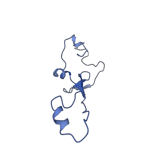 12633_7nwi_aa_v1-2
Mammalian pre-termination 80S ribosome with Empty-A site bound by Blasticidin S