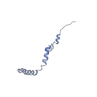12633_7nwi_b_v1-2
Mammalian pre-termination 80S ribosome with Empty-A site bound by Blasticidin S