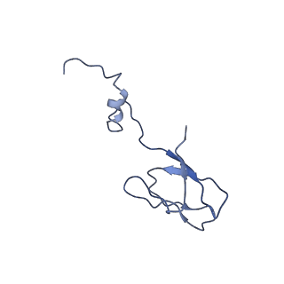 12633_7nwi_bb_v1-2
Mammalian pre-termination 80S ribosome with Empty-A site bound by Blasticidin S