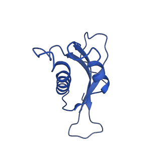 12633_7nwi_d_v1-2
Mammalian pre-termination 80S ribosome with Empty-A site bound by Blasticidin S
